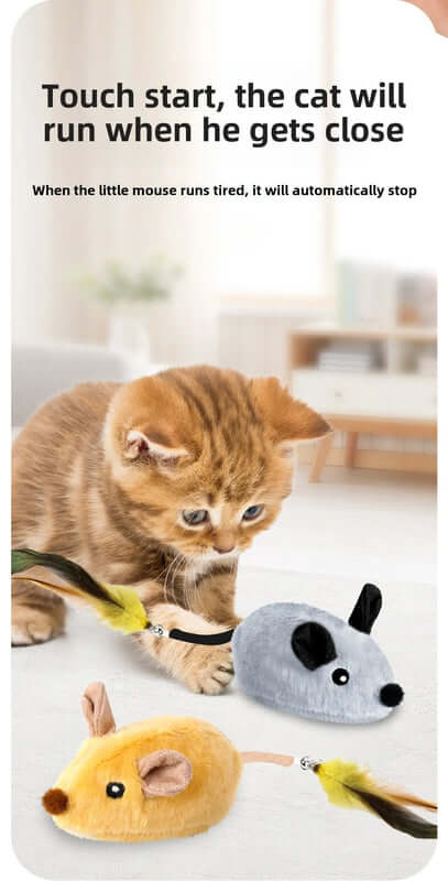 Cat playing with electronic mouse toys on a light surface.- AZPaws