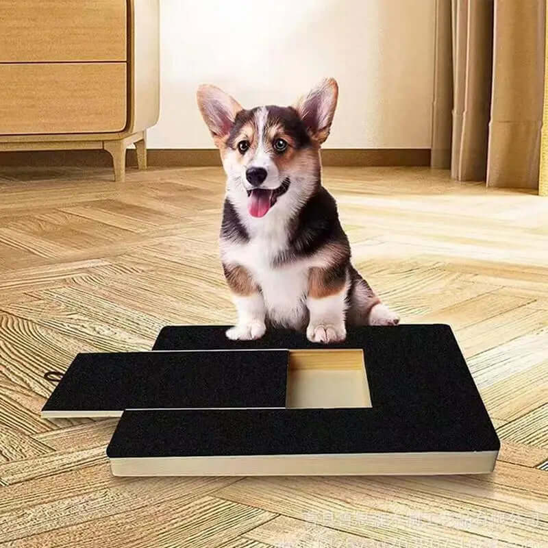 Dog Nail Scratch Board Nail Filing -Pad -  AZPaws