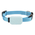 Blue dog collar with a rectangular light blue device attached on a white background