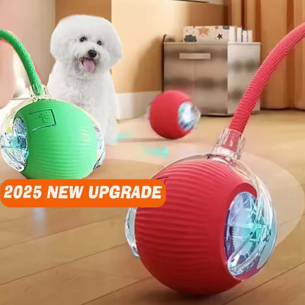 3-in-1 Modes with 3 Speeds for Targeted Play-AZPaws
