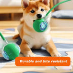 Smart interactive dog toy ball with motion activation-AZPaws