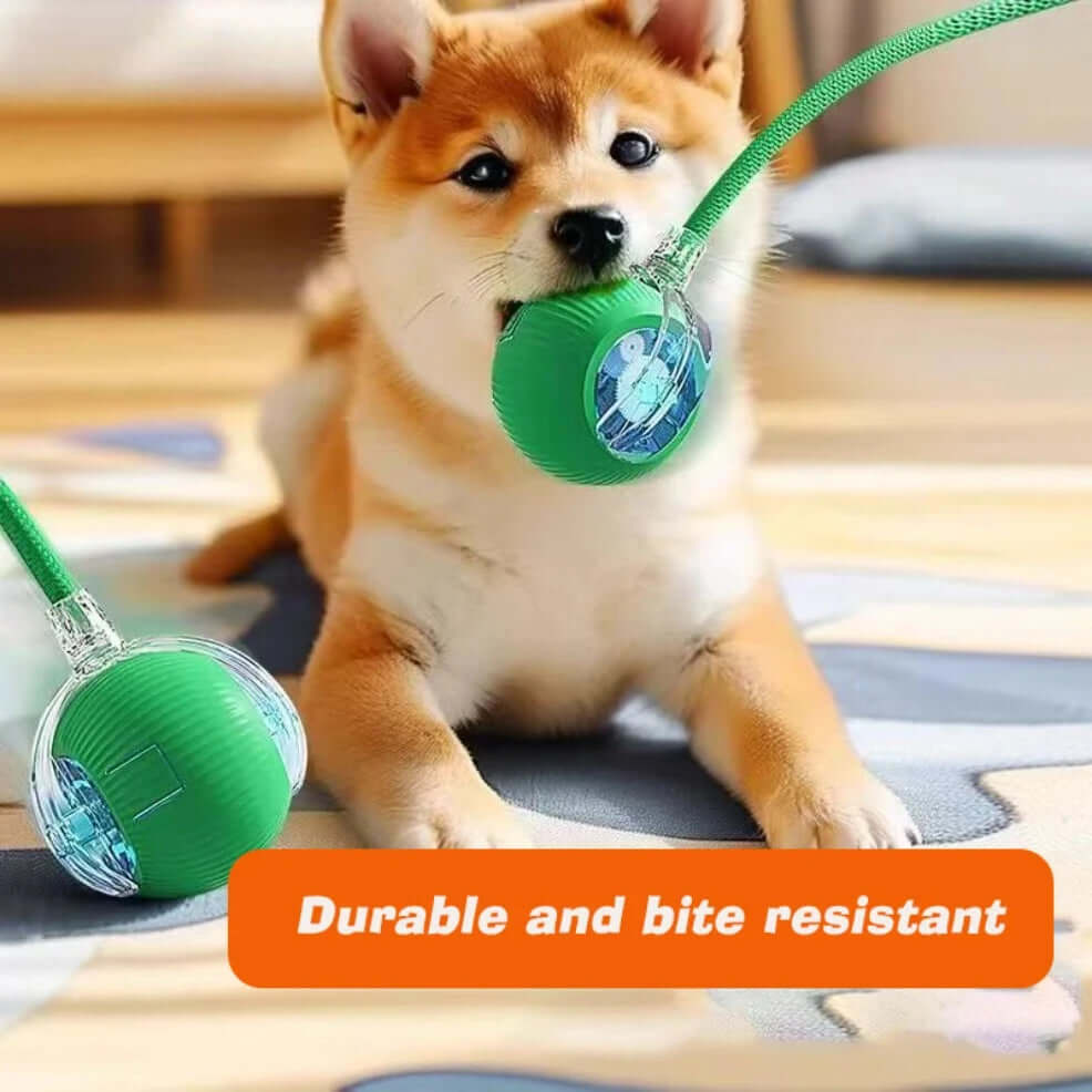 Smart interactive dog toy ball with motion activation-AZPaws