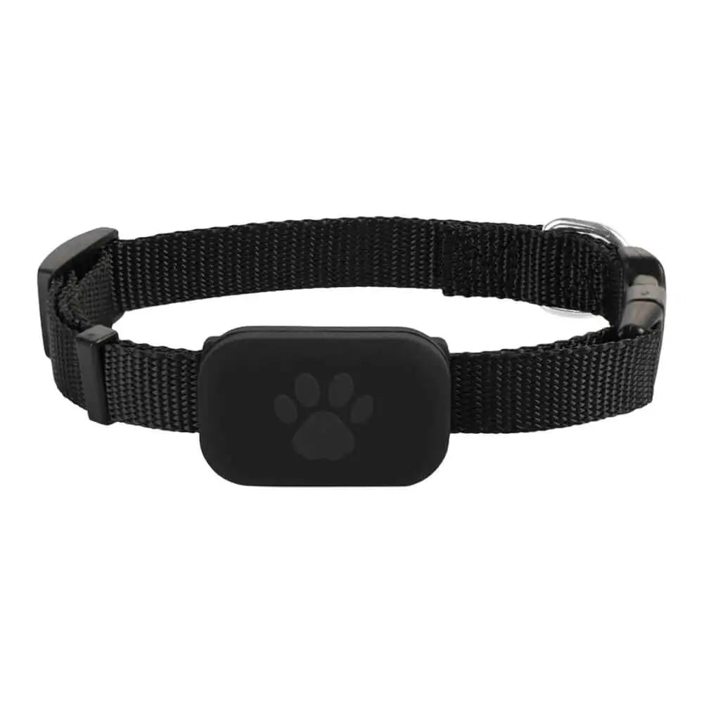 Waterproof GPS tracker for active dogs - AZPaws